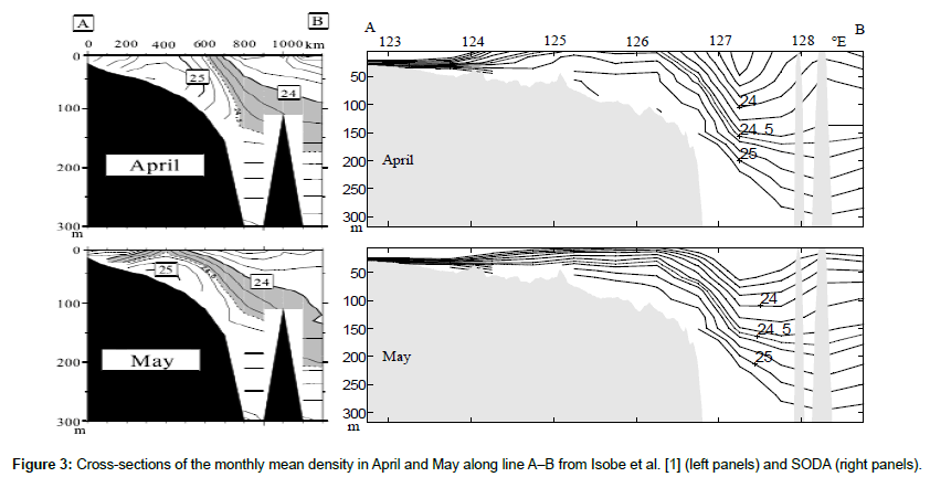 marine-biology-Cross-sections