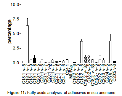 marine-biology-Fatty-acids