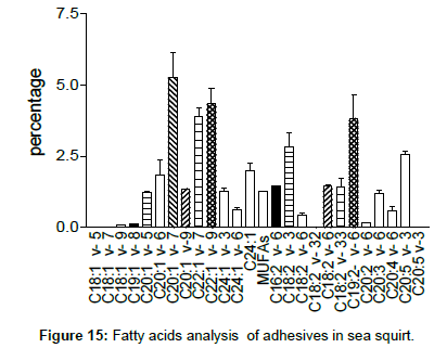 marine-biology-Fatty-sea