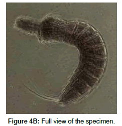 marine-biology-Full-view