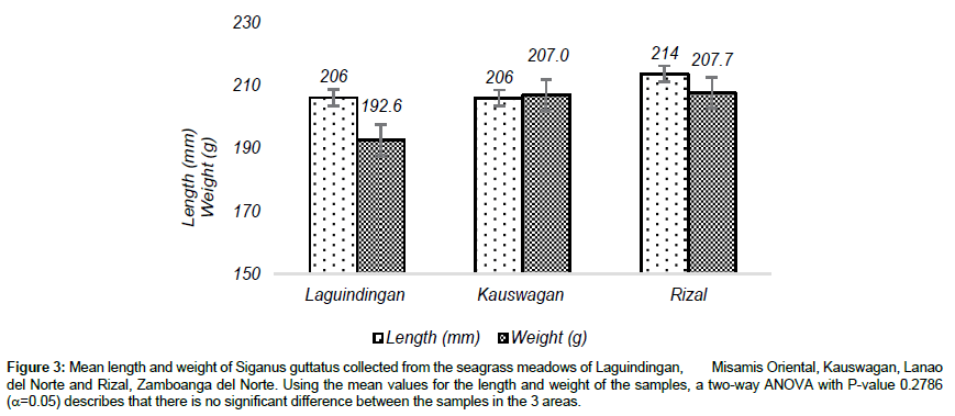 marine-biology-Mean-length