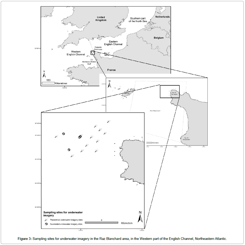 marine-biology-Sampling-sites