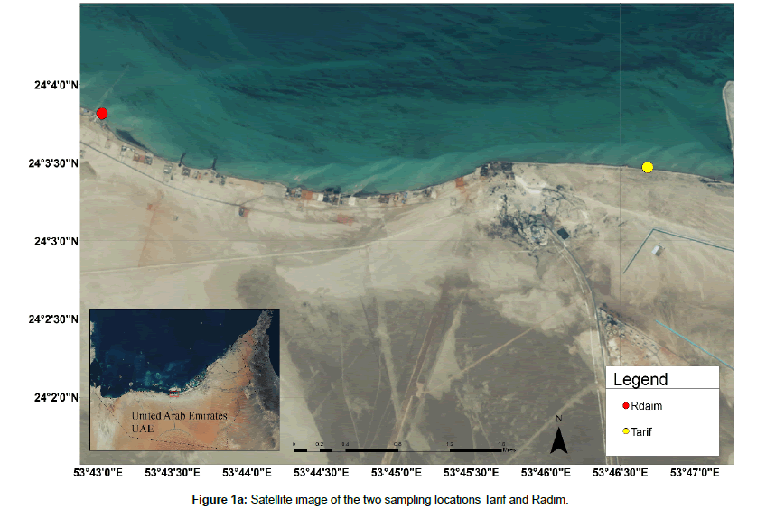 marine-biology-Satellite-image