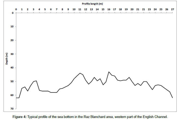 marine-biology-Typical-profile