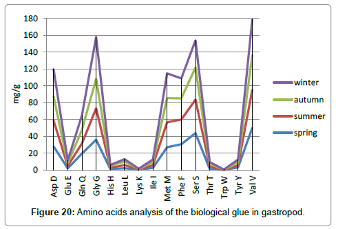 marine-biology-biological-gastropod