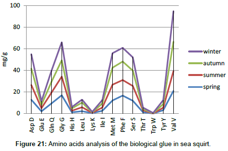 marine-biology-biological-sea