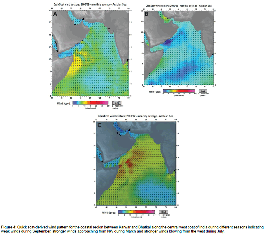 marine-biology-coastal-region