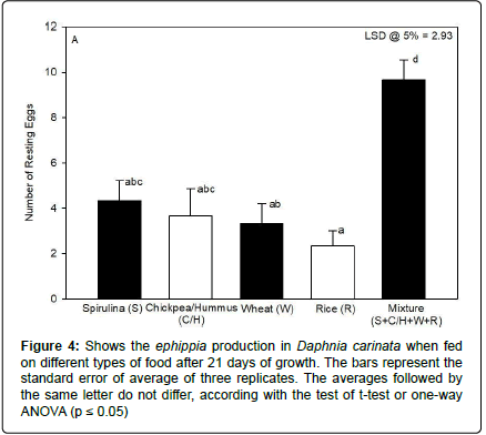 marine-biology-ephippia-production