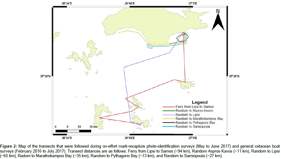 marine-biology-mark-recapture