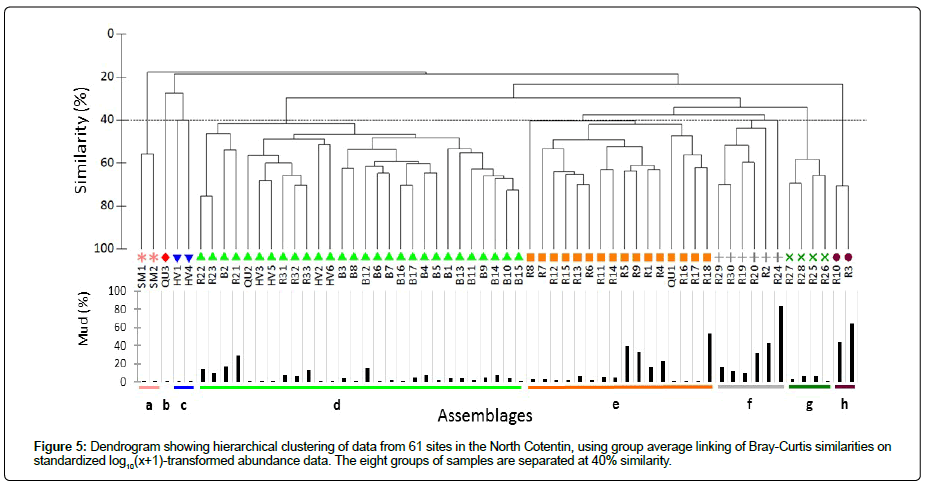 marine-biology-oceanography-Dendrogram