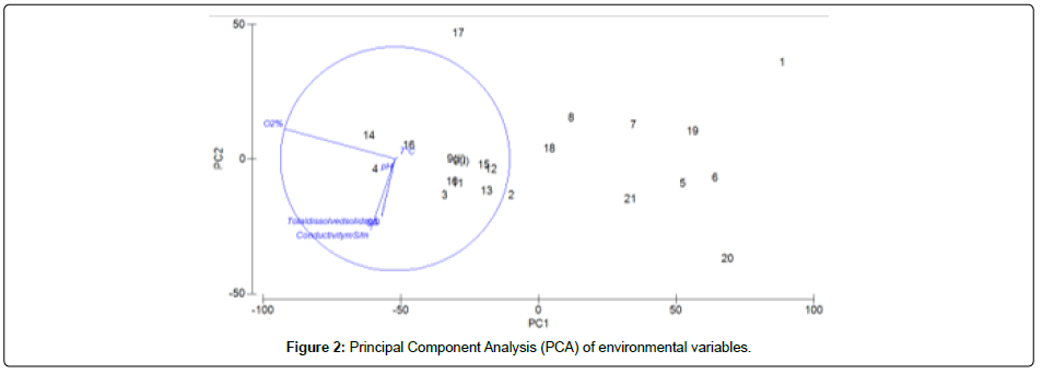 marine-biology-oceanography-Principal-Component