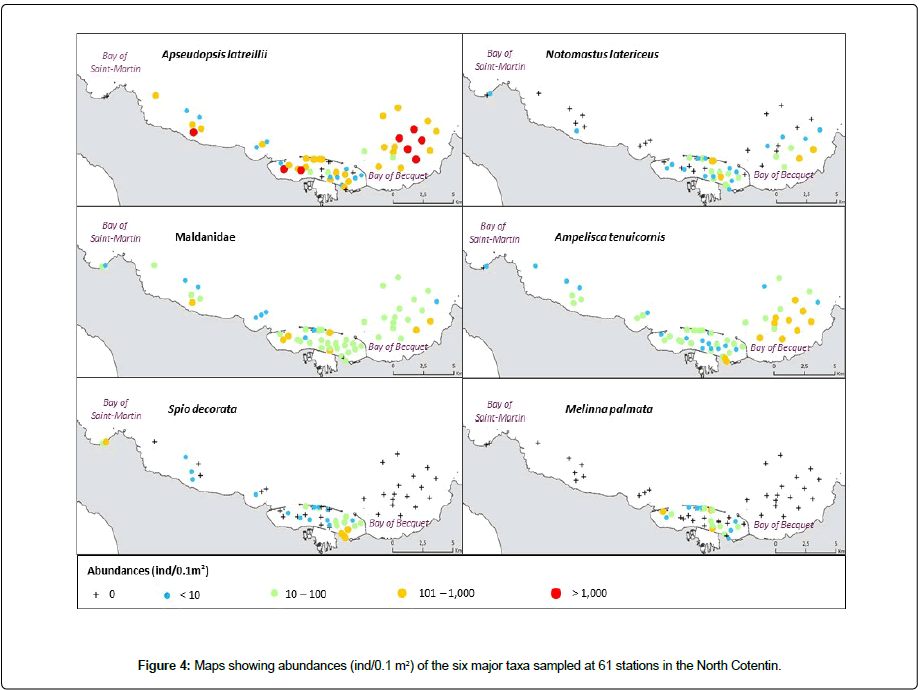 marine-biology-oceanography-abundances