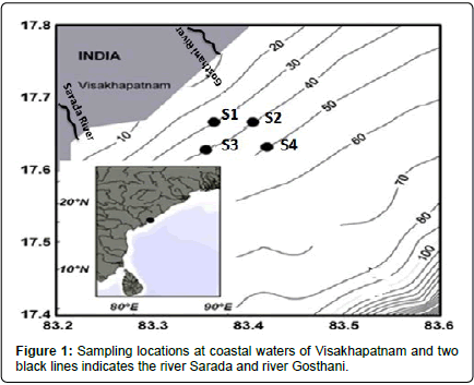 marine-biology-oceanography-coastal-waters