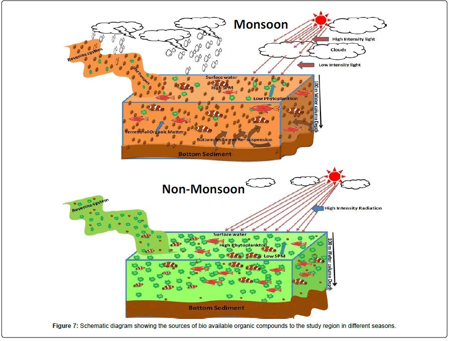 marine-biology-oceanography-organic-compounds