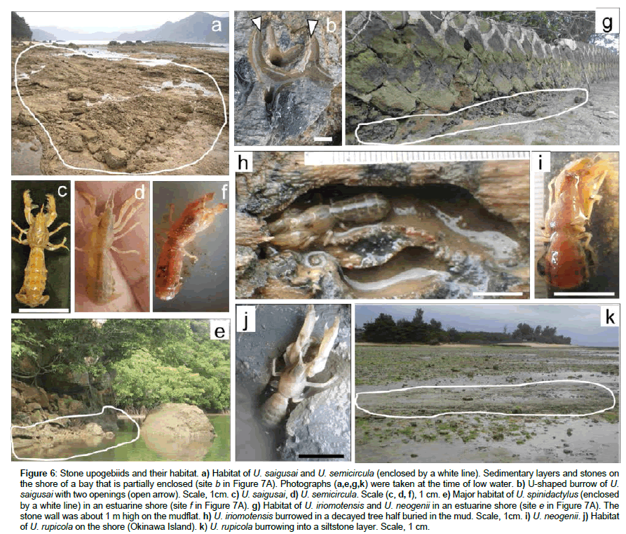 marine-biology-open-arrow