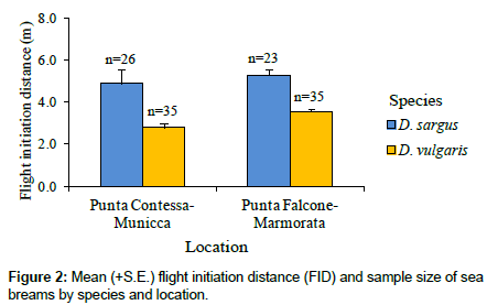 marine-biology-sample-size