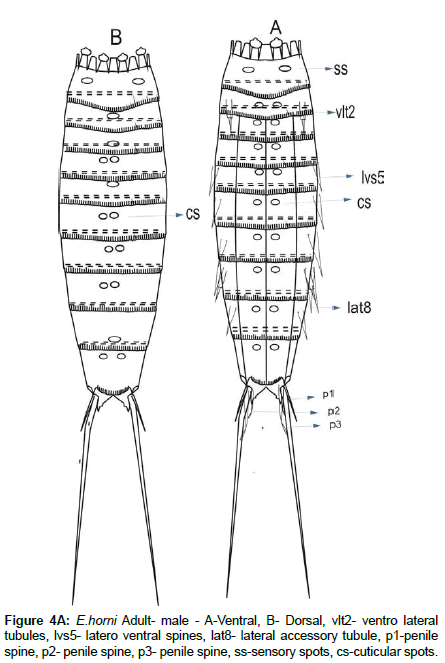 marine-biology-sensory-spots