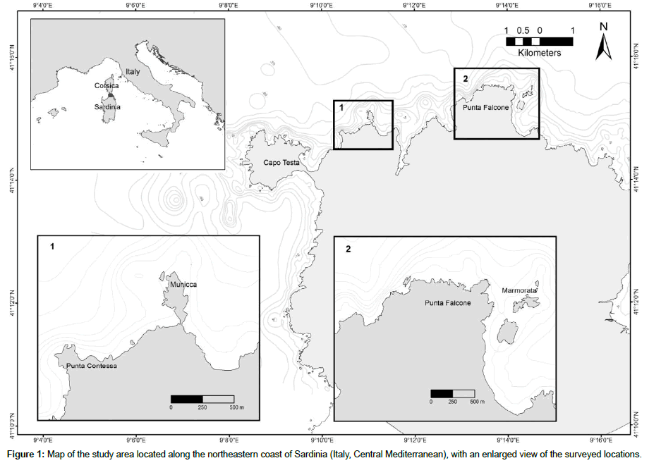 marine-biology-study-area