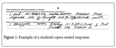 mathematics-open-ended