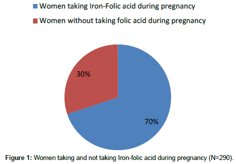 medical-biotechnology-Iron-folic