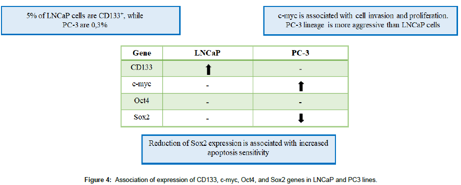 medical-biotechnology-PC3-lines