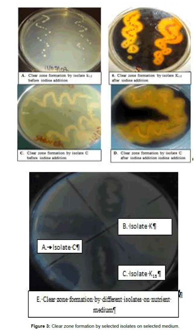 medical-biotechnology-clear-zone-formation