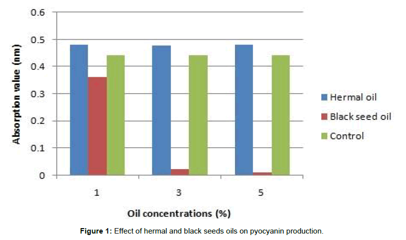 medical-biotechnology-pyocyanin-production