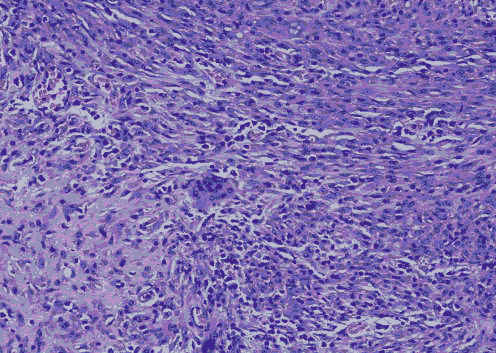 medical-microbiology-giant medical-microbiology-giant