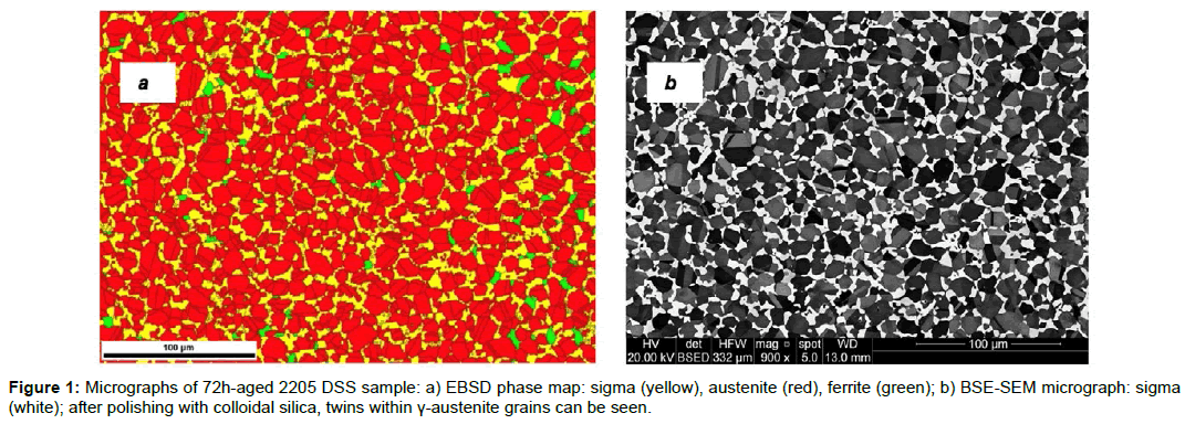 metals-research-BSE-SEM-micrograph