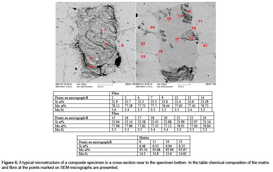 metals-specimen-bottom