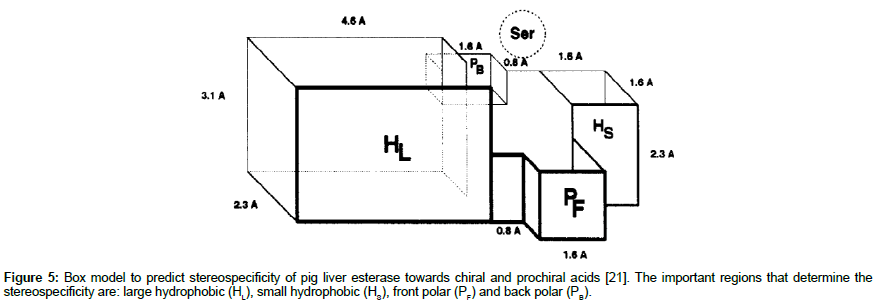 molecular-biology-methods-Box-model