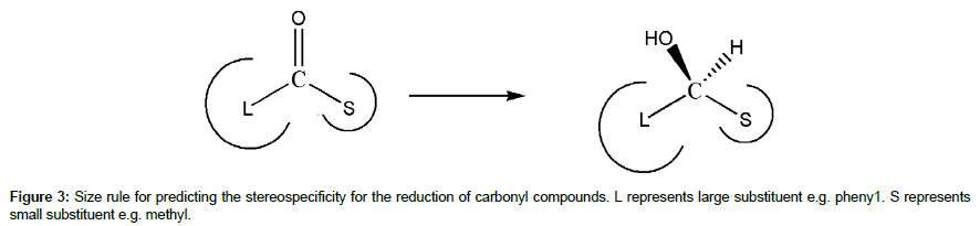 molecular-biology-methods-Size-rule