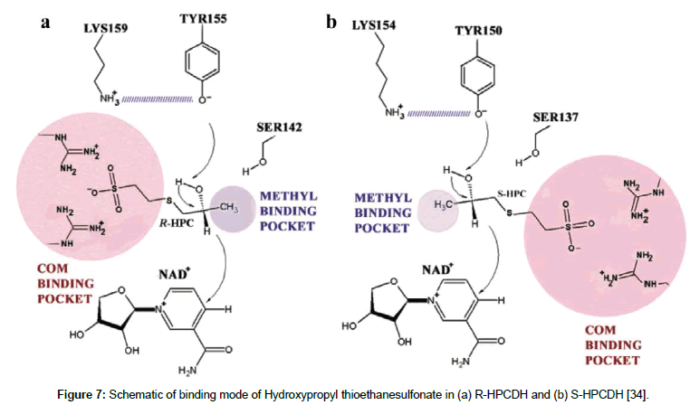 molecular-biology-methods-binding-mode