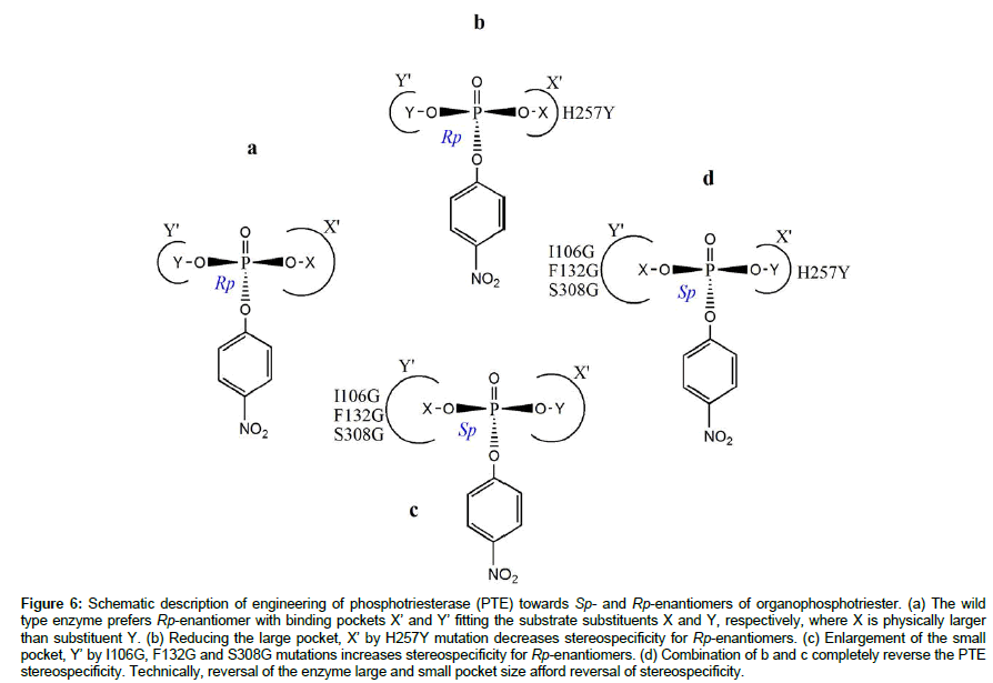 molecular-biology-methods-large-pocket