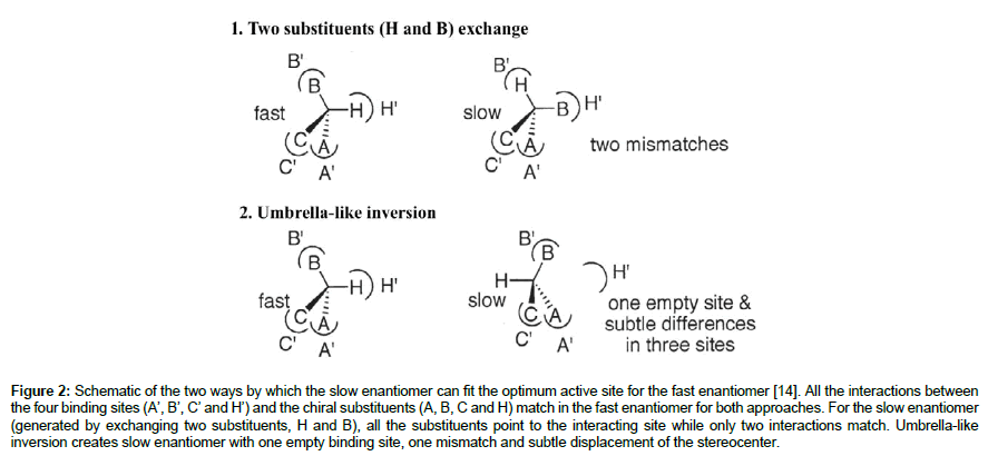 molecular-biology-methods-optimum-active