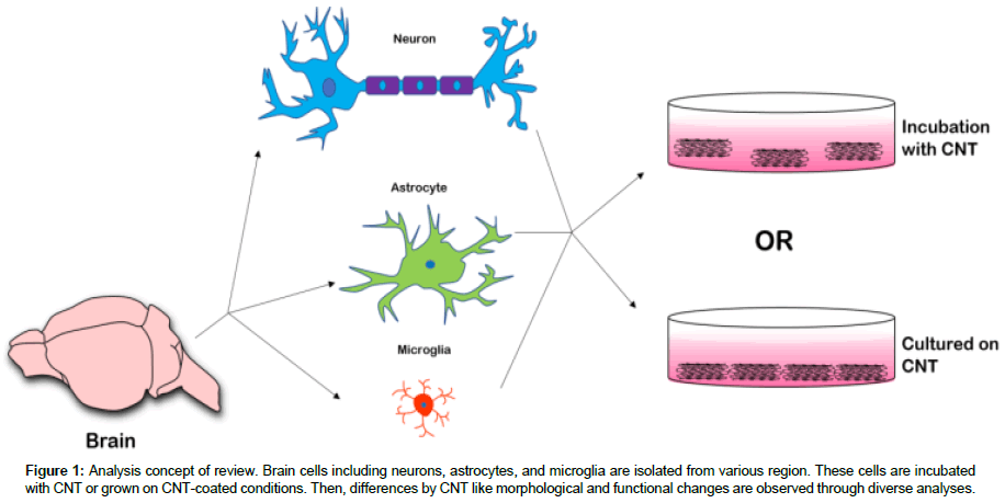 nanomaterials-molecular-Analysis-concept