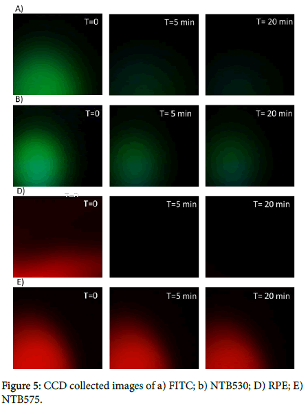 nanomaterials-molecular-CCD-collected