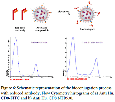 nanomaterials-molecular-Flow-Cytometry