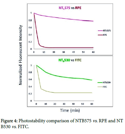 nanomaterials-molecular-Photostability-comparison