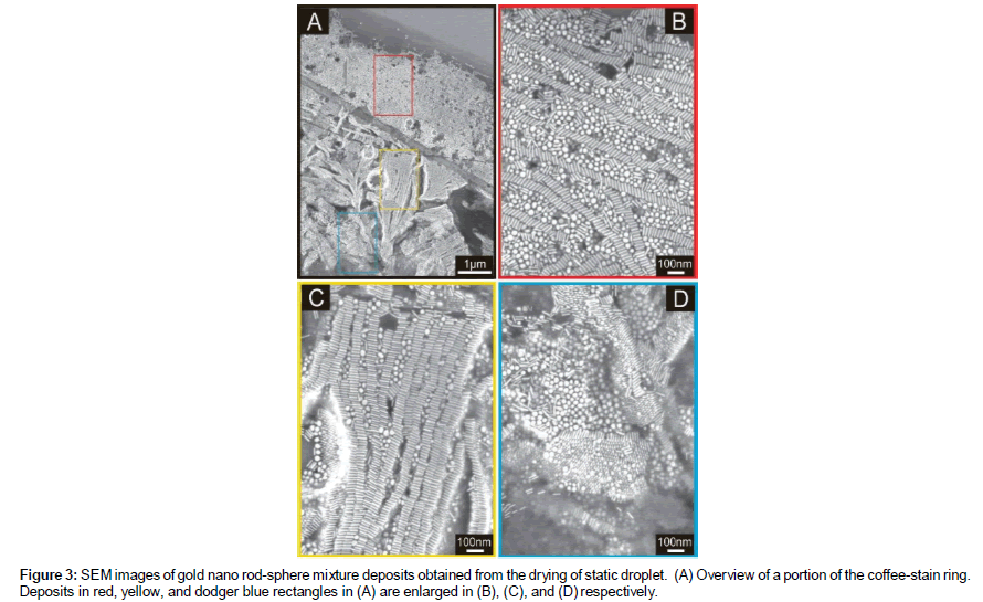 nanomaterials-molecular-SEM-images