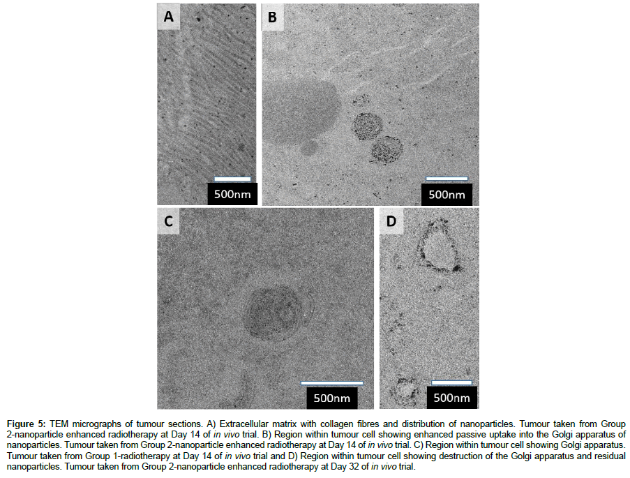 nanomaterials-molecular-TEM-micrographs