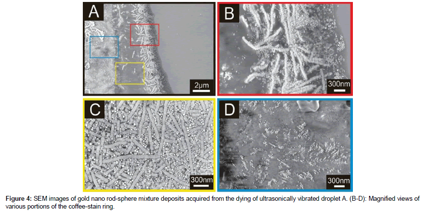 nanomaterials-molecular-coffee-stain