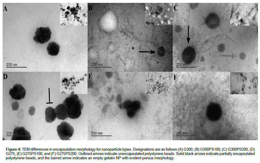 nanomaterials-molecular-porous-morphology
