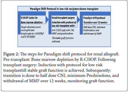 nephrology-renal-diseases-transplant-surgery