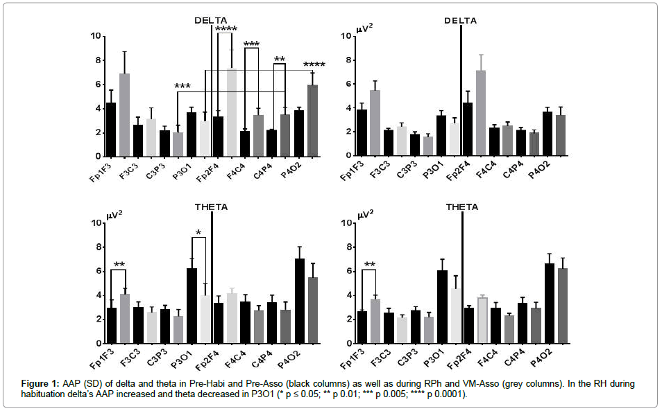 neuroscience-grey-columns