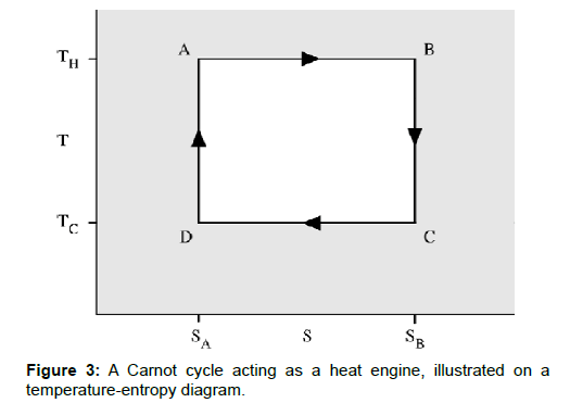 neuroscience-temperature-entropy