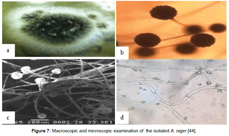 nuclear-energy-science-Macroscopic