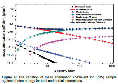 nuclear-energy-science-power-partial-interactions