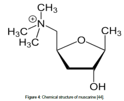 nutrition-metabolism-Chemical-muscarine