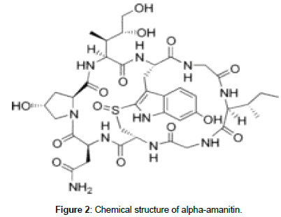 nutrition-metabolism-Chemical-structure